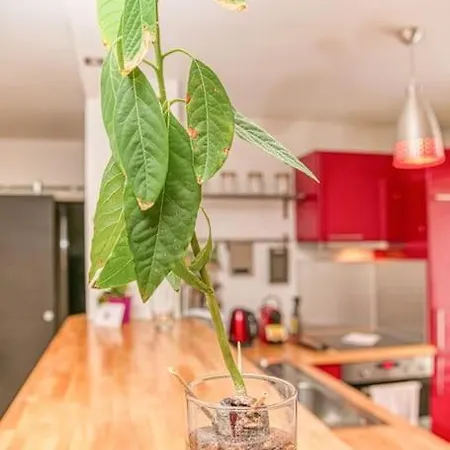 50m Gem - 400m Gare: Garage Prive, Terrasse, Wifi