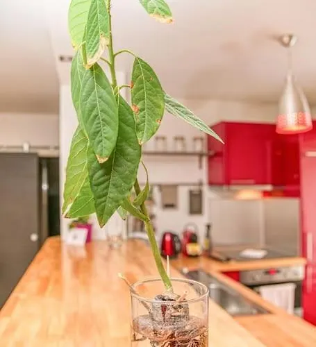 50m Gem - 400m Gare: Garage Privé, Terrasse, Wifi